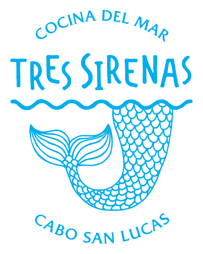 The Office Logo